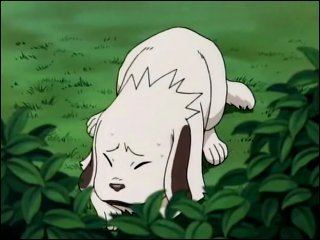 akamaru.jpg